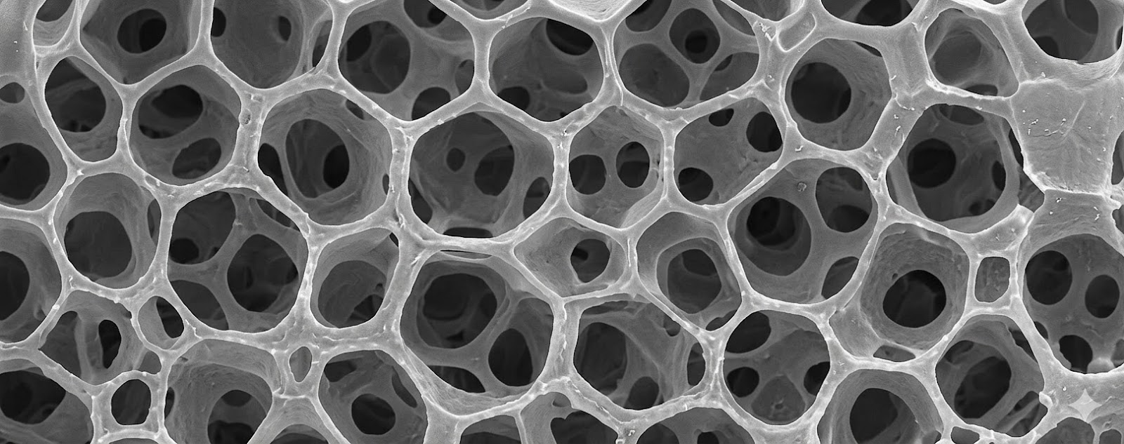 AI生成的高回弹聚氨酯体系泡孔放大示意图